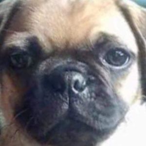 Meet your Posher, Anny